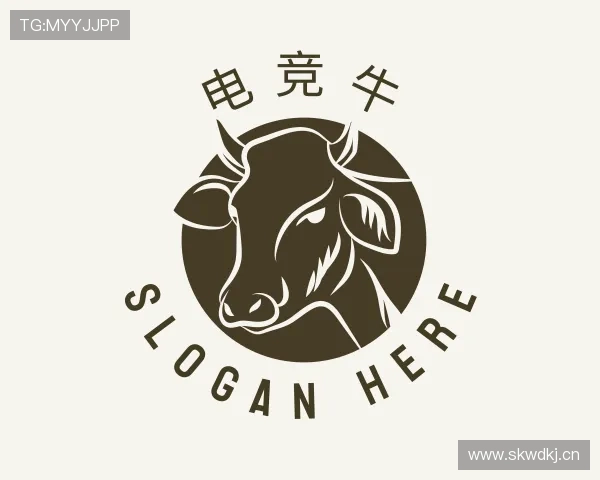 介绍赛事数据
